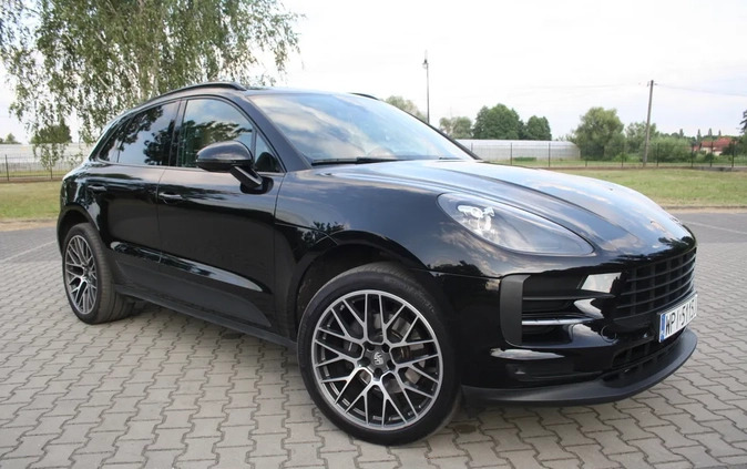 Porsche Macan cena 282800 przebieg: 49000, rok produkcji 2020 z Węgrów małe 781